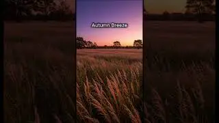 Autumn Breeze  /  Taka Space