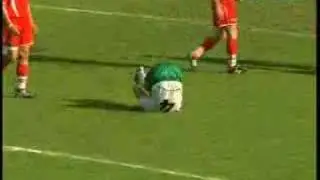 stal stalowa wola pogoń leżajsk