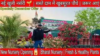 NEW BHARAT NURSERY IN RAIPUR 
