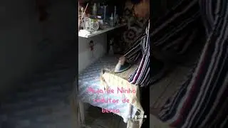 Curso de Ninho Redutor de ber&ccedil;o.