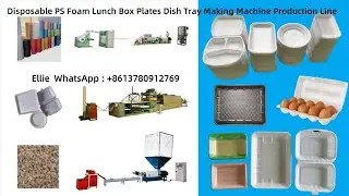 Disposable PS Foam Lunch Box Plates Dish Tray Making Machine Production Line #foamplatemachine
