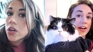 my cat has separation anxiety