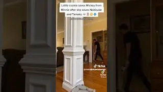 Mickey Mouse & Latte Cookie gets Saved #tal_on #shorts #comedy #cookierunkingdom #comedyshorts