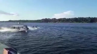 Barco Motor Golfinho mercedes OM 314 85 hp