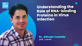 Understanding the Role of RNA-binding Proteins in Virus Infection - Dr. Alfredo Castello