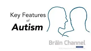 Key Features of Autism