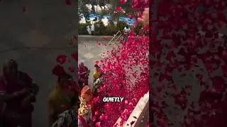 Она превратила обычное сари в прекрасное произведение искусства 😲