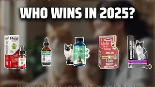 The Top 5 Best Cat Soother in 2025 - Must Watch Before Buying!