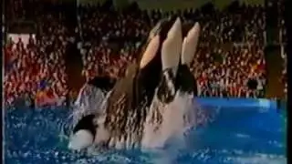 Sea World Orlando 1988 Commercial