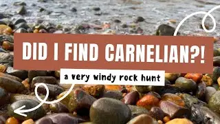 WINDY ROCK HUNT | Hunting for Carnelian on the Delaware River