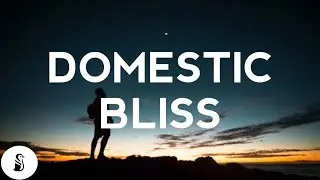 Glass Animal - Domestic Bliss (Lyrics)
