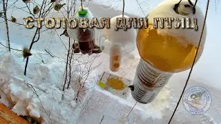 Кормушка для птиц 31 января 2026 года (02)
