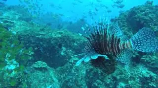 Jetty Dive Centre. The Complete Dive Centre