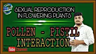 POLLEN - PISTIL INTERACTION //CLASS - 12TH //SEXUAL REPRODUCTION IN FLOWERING PLANTS