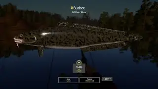 Russian Fishing - Trophy Burbot With Livebait at Kuori lake