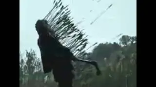 The arrow rain