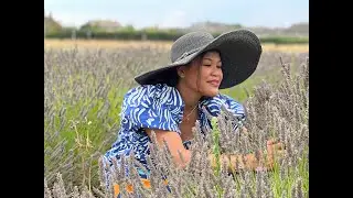 Lets have a walk in the LAVENDER FARM UK