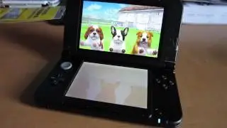 Nintendogs + Cats: French Bulldog 3DS XL Comparison