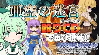 🌌亜空の迷宮🔨殴りCDで再び挑戦❗❗【ラグナロクオンライン】