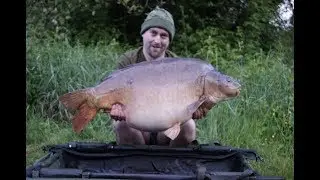 Big Carp France - Kingfisher 2014