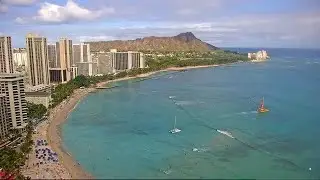Box jellyfish advisory issued for Waikiki Beach