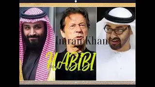 Imran Khan x Habibi x Arab leaders [ Slowed Reverb]  عمران خان × حبيبي × القادة العرب