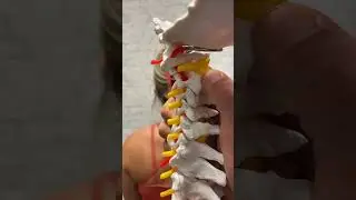 Difficulty Turning Head?