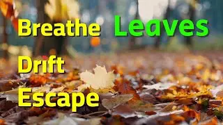☕ Autumn Piano & Cello Caf&eacute; Jazz &mdash; Cozy Fall Vibes & Nature Beauty for Relaxation 🍂