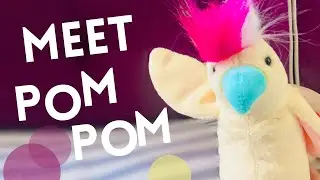 In Hand Review of Ty Beanie Babies Pompom The White Cockatoo