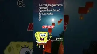 cool sponge 🧽 quiz