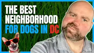 Top 5 Dog-Friendly Neighborhoods in DC 🐶🏠 | The Ultimate Guide for Dog Lovers