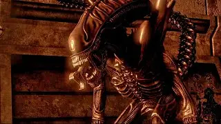 Stealth kills in 2023 | 