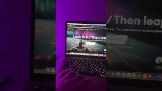 The perfect trading strategy for a beginner