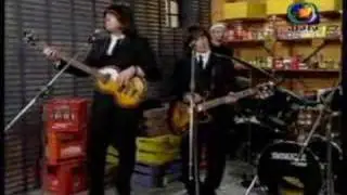 Los Escarabajos