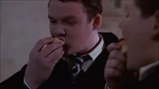 Crab and Goyle Get Drugged