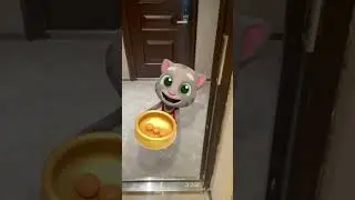 Comemora&ccedil;&otilde;es de Ano-Novo Lunar 🎆 Talking Tom #Shorts
