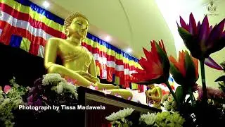 EVENING PUJA