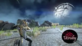 Warframe Aegrit build