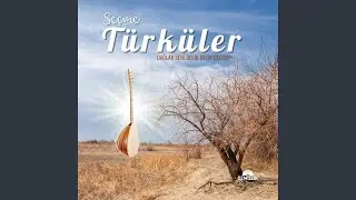 Bir Yiğit Gurbete Gitse