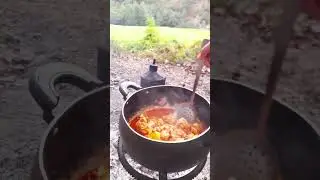 one day in the jungle #jungle #nature #music #iranfood  #food  #iran #amazing