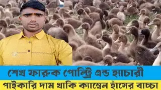 পাইকারি দামে খাকি ক্যাম্বেল হাঁসের বাচ্চা#খাকি ক্যাম্বেল হাঁসের খামার#খাকি ক্যাম্বেল হাঁস পালন#চিনা 