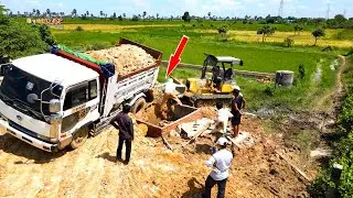 Incredible dump truck Driver back stuck failed in pit recovery by bulldozer pushing.