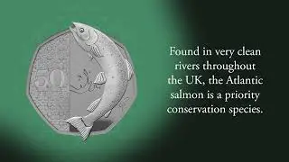 Unveiling His Majesty King Charles III's First Definitive Coins | The Royal Mint