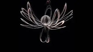 Helices: Real-time screen cap of an algorithm generated sine curve formation