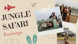 Day 9 🧿 jungle Safari in Kaziranga #Outing#Jeep riding#one horn rhino#deer#Happiness#enjoying#family