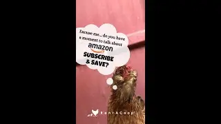 Coupon for Premium Hemp Bedding - Amazon Subscribe & Save!