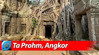 Angkor 🇰🇭 Exploring Ta Prohm Temple