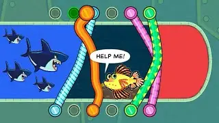 save the fish / pull the pin level android games save fish game pull the pin puzzle / #pullthepin