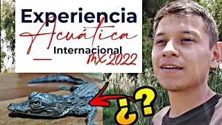 Experiencia Aquatica 2022 || MI Caiman es Caiman?🤨
