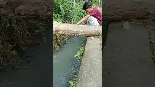 Mancing disini gak butuh waktu lama‼️ #mancingliar #mancingbenter #mancing
